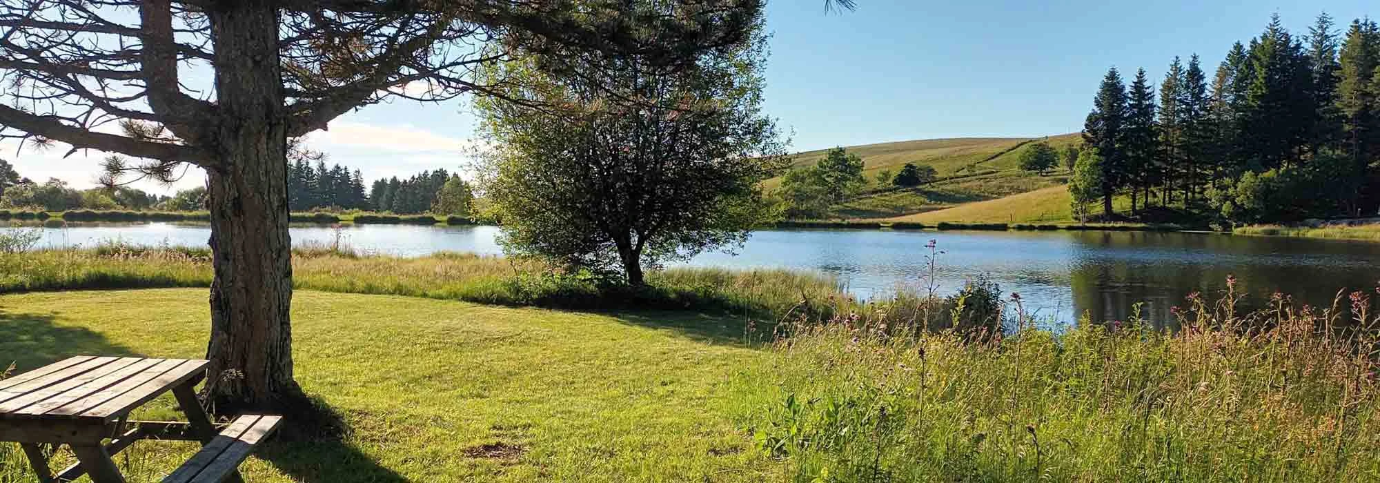 lac volcan auvergne lac des estives