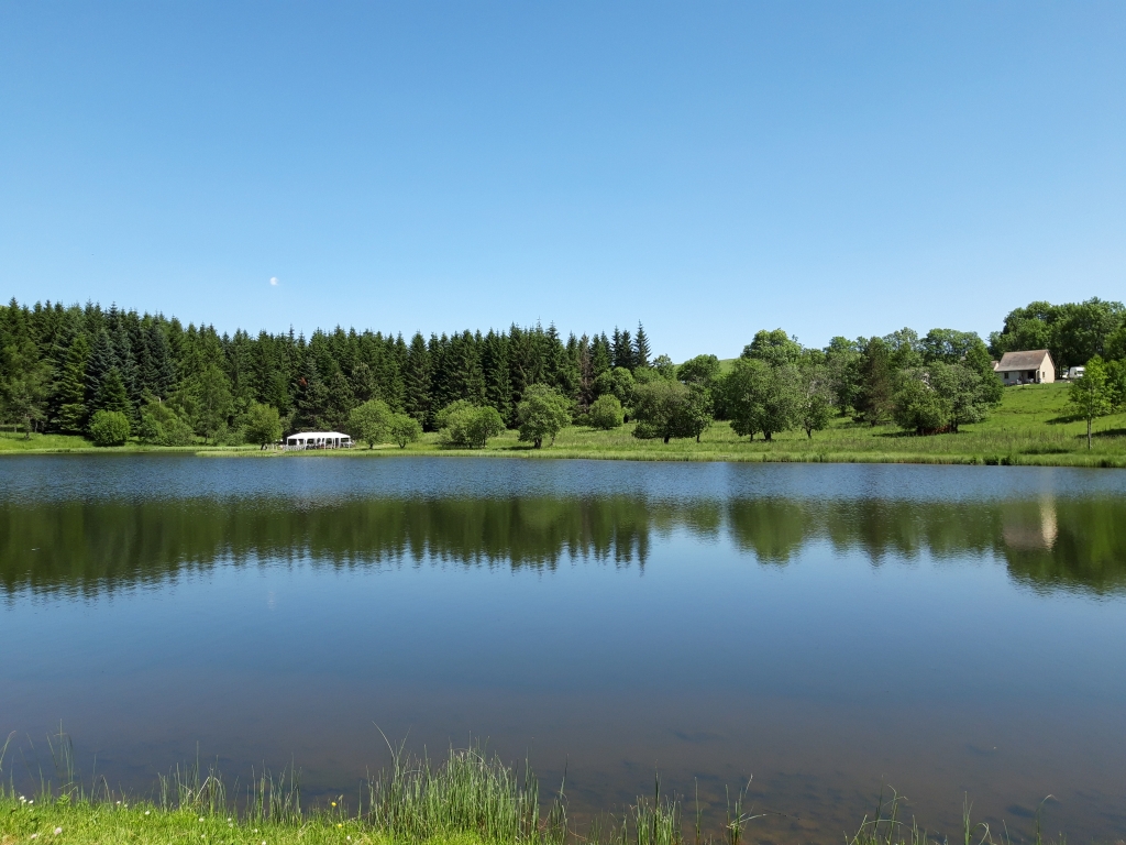 ARRIVAGE POISSON 29 AOÜT